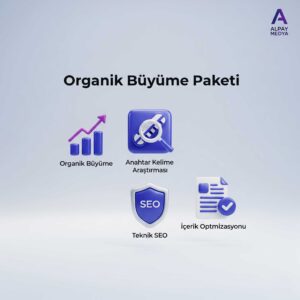 Seo Paketi
